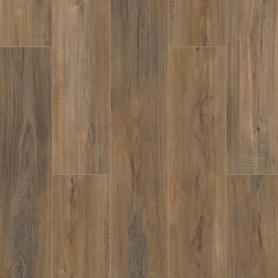 COREtec Pro Plus Enhanced - Edinburgh Oak